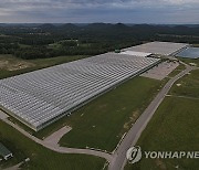 Climate Greenhouses Heat Workers