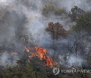 NORTH MACEDONIA WILDFIRES