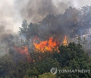 NORTH MACEDONIA WILDFIRES