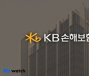 KB손해보험 희망퇴직 실시…45세 이상 대상