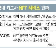 법 테두리 안에 들어온 NFT…카드사별 온도차