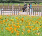 [오늘의 날씨]부산·경남(18일, 목)… 서부 경남 오전 시간당 20㎜ 강한 비