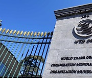 WTO “중국, 보조금 등 산업정책 전반 투명성 부족”