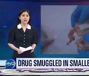 [News Today] DRUG SMUGGLED IN SMALLER AMOUNTS