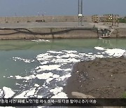 ‘뛰는’ 산업에 ‘기는’ 환경 정책…안전성 문제 없나?