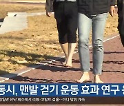 [여기는 안동] 안동시, 맨발 걷기 운동 효과 연구 용역 외