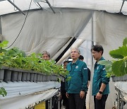 이석준 농협금융 회장 호우피해 농가 찾아 지원