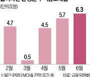 가계대출 급증 조짐 보이자…정부 "주담대 모니터링 강화"