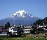 너도나도 일본행…4명 중 1명이 '한국인'