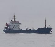 Detained ship carrying 4,500-ton of N.Korean coal: Seoul