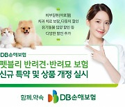 DB손보, 반려견·반려묘 치과부터 피부질환까지…다둥이 등 할인