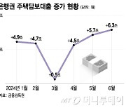 DSR 연기하며 금리정책 '엇박자' 비판받은 금융당국, 이유는?