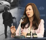 '한국 대리 혐의' 수미 테리, 체포됐다가 보석으로 풀려나