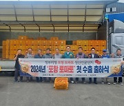 포항 상옥 여름 토마토, 2024년 첫 일본 수출길 올라