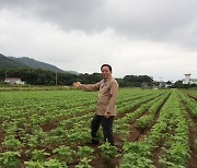 ‘벼 대신 논콩 재배’ 소득 2배 늘어