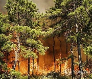 APTOPIX New Jersey Forest Fire