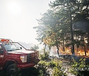 New Jersey Forest Fire