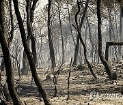 GREECE WILDFIRES