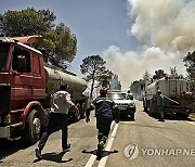 GREECE WILDFIRES