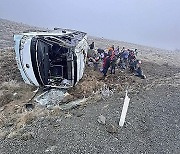 New Zealand Bus Crashes