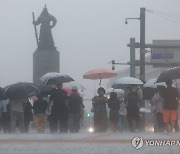 [날씨] 남부지방 중심 강하고 많은 비…수도권은 소강상태