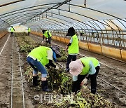 [포토] 농협경제지주, 전북 익산 수해 복구