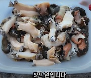 "밑반찬 수준" 논란 '용두암 5만원 해산물' 판매 상인 불법 판매 적발