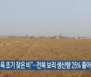 “생육 초기 잦은 비”…전북 보리 생산량 25% 줄어