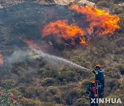 유럽 폭염으로 남부와 동유럽 전역에 산불 기승 .. 伊, 그리스도 큰 피해