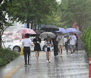 남부지방 많은 비…서울31도·강릉34도 '찜통더위'