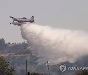 GREECE WILDFIRES