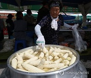 '강원도의 맛' 홍천찰옥수수축제 개막