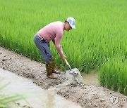 "하루 강수량 80mm 이상이면 풍수해보험금 지급액 70%↑"