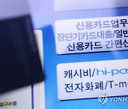 '서민 급전창구' 카드론 잔액 매달 역대 최다 경신