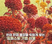 [K스토리] 금주에 가볼 만한 전시...맨드라미의 강인한 생명력