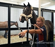 Equestrian Horses Olympics