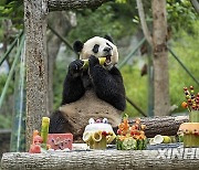 (SichuanMosaics)CHINA-SICHUAN-GIANT PANDA-BIRTHDAY (CN)