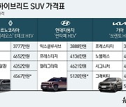 '골리앗' 싼타페·쏘렌토 노려보는 르노…'하이브리드 삼국지'