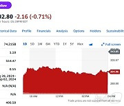 글로벌 사이버 대란 일으킨 크라우드스트라이크 11% 폭락