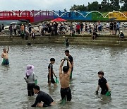 함평 돌머리해수욕장 '뱀장어 잡기 체험' 인기