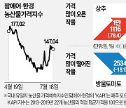 수입 삼겹살보다 비싼 상추…3주째 장마, 농산물 오름세