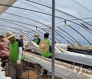 농식품부 “집중호우로 축구장 1,900개 면적 농작물 피해”