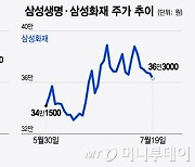 잘나가던 보험주, 정책리스크 우려에 주가도 주춤