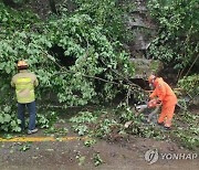 인제군 서화면서 낙석 사고, 차량 통행 통제…응급 복구작업