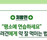 반려견에게 약 잘 먹이는 법 '꿀팁' 알려드립니다[펫카드]