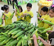 서울 영유아학교 시범운영 공모한다…"유보통합 첫걸음"