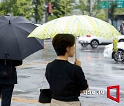 내일 '대서' 강원·충청·제주 무더위…전국 곳곳 장맛비