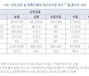 금융연 "대형 상호조합도 '공통 내부통제' 필요"