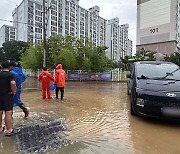 전남 지역 새벽 한때 집중호우…영암 삼호 135mm 폭우에 도로 침수 잇따라