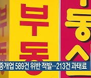 부동산 중개업 589건 위반 적발…213건 과태료